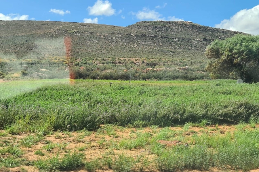 0 Bedroom Property for Sale in Touws River Rural Western Cape